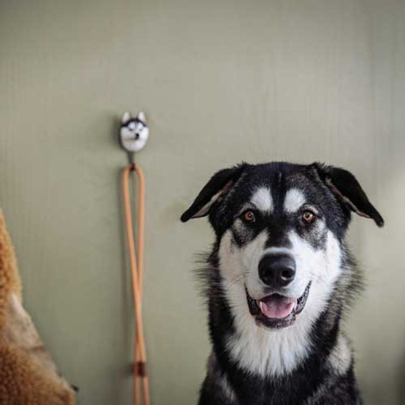 Håndskåret Krok – Sibirsk Husky Wildlife Garden